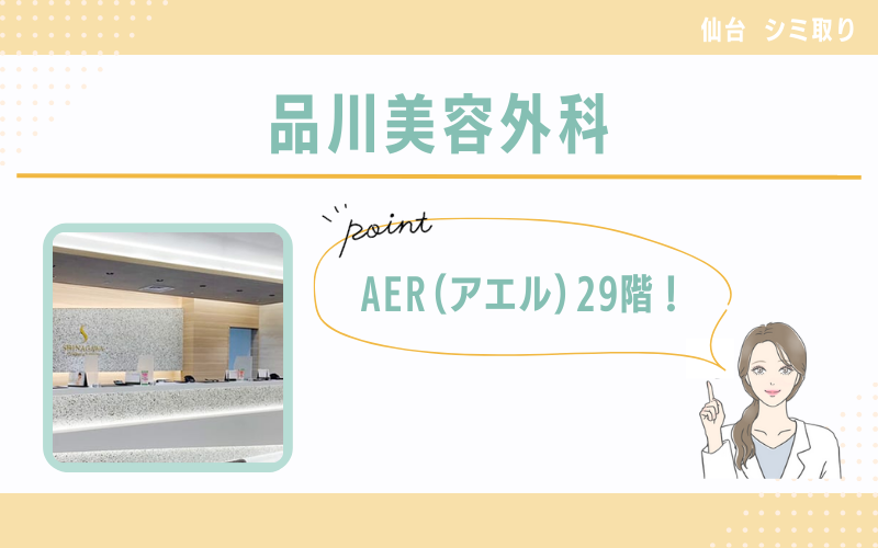 AER(アエル)29階！何度でも利用できる会員メニューが魅力的な品川美容外科
